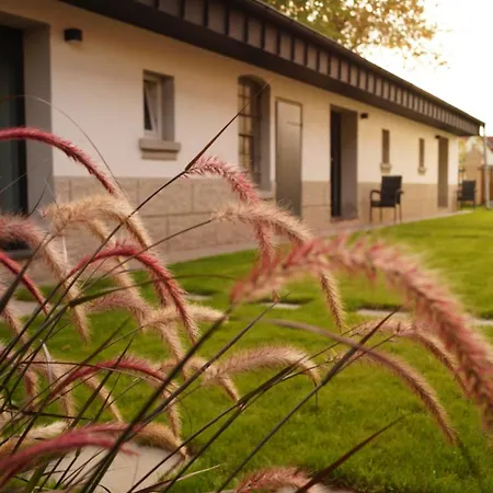Апартаменты Remise Brasch - Zwischen Bahnhof Und Elbe Виттенберге Экстерьер фото