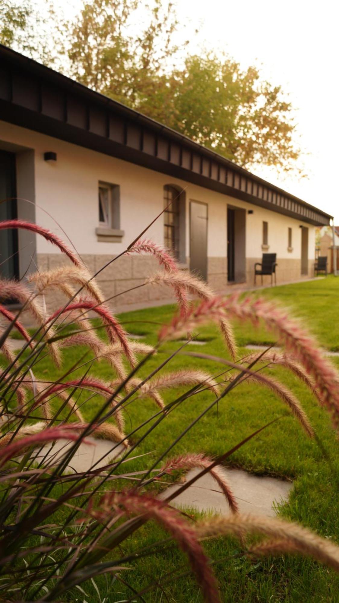Apartment Remise Brasch - Zwischen Bahnhof Und Elbe